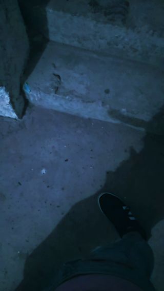 VID_20210728_210514.mp4