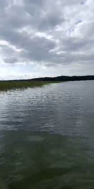 received_1264848070626421.mp4