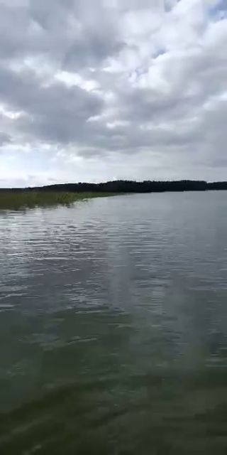 received_1264848070626421.mp4