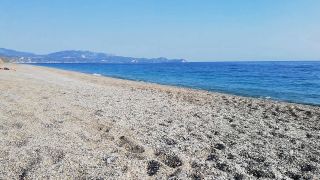 VID_20210818_090904.mp4