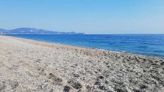 VID_20210818_090904.mp4