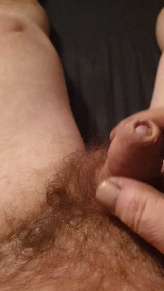 Trybel1