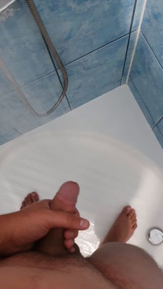 MirekBi2626