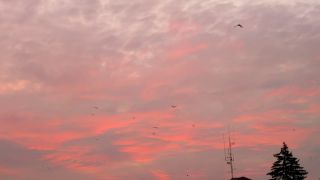 20210916_060343.mp4