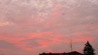 20210916_060343.mp4