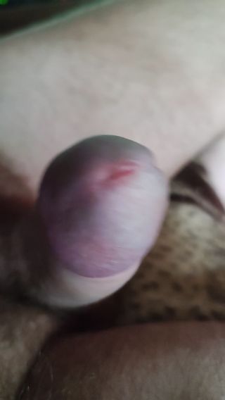 VID_20210918_081812.mp4