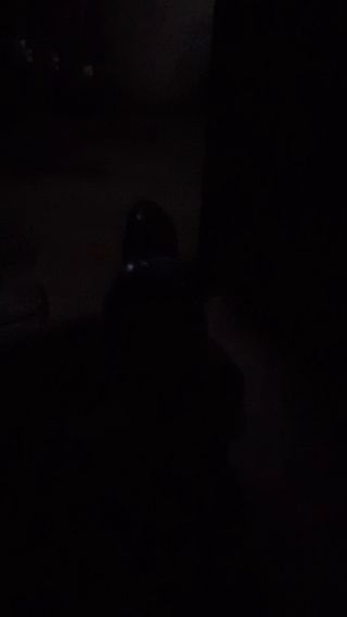 20210921_232845.mp4