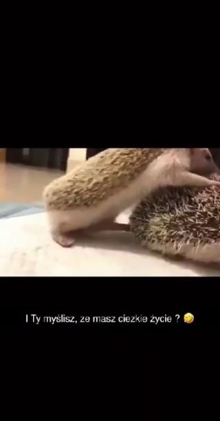 To się nazywa challenge ;) 