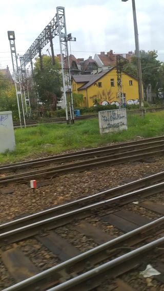krolvertexfx