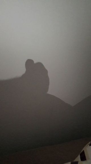 VID-20210424-WA0206.mp4