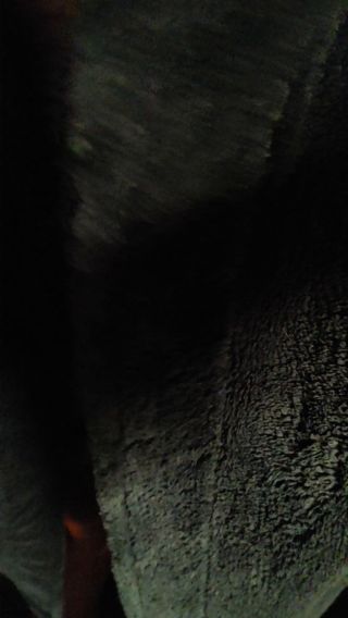 20211111_011249.mp4