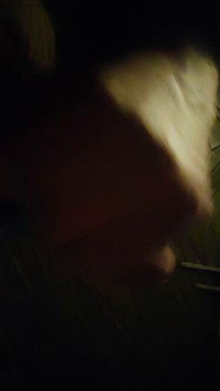 20211111_011351.mp4