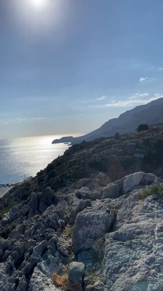 andonis