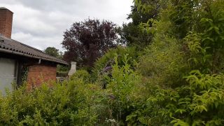 VID_20200724_165851504.mp4