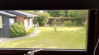 VID_20200724_164339197.mp4