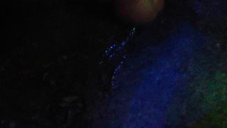20211225_221144.mp4