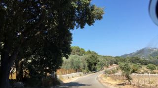 IMG_5110.MOV