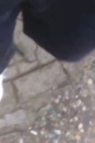 VID_20160706_145450.mp4