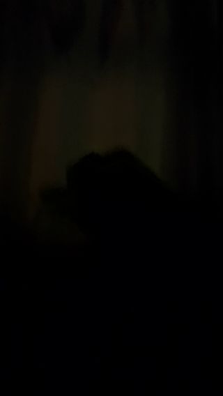 VID_20220301_192419.mp4
