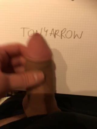 tonyarrow