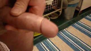 VID20220324060439.mp4