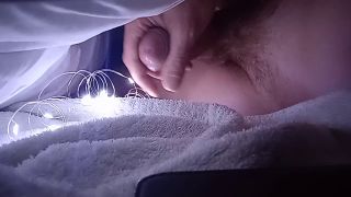 bocianxxx