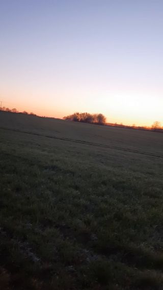 20220416_055109.mp4