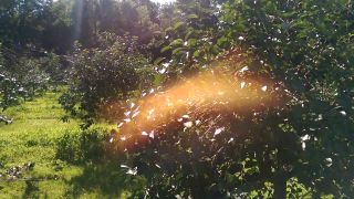 VIDEO0266.mp4