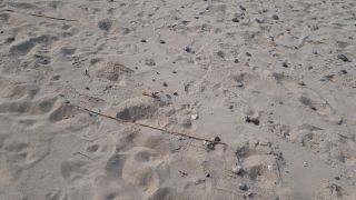 20220419_155219.mp4