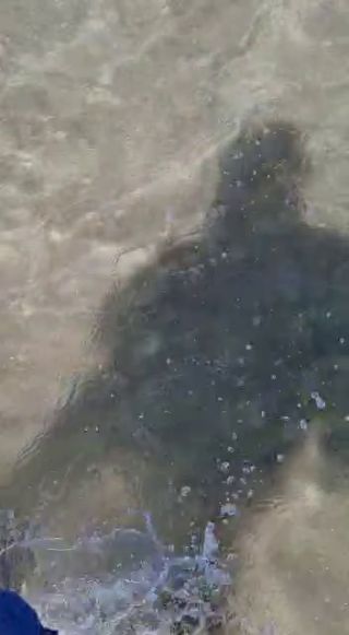 VID-20220424-WA0008.mp4