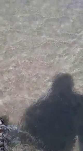VID-20220424-WA0008.mp4