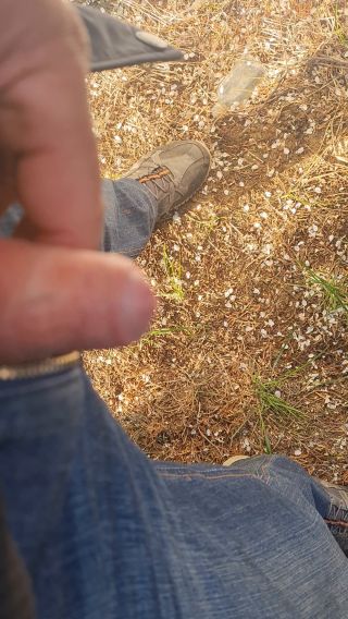 20220505_181907.mp4