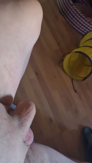 20220515_083240.mp4