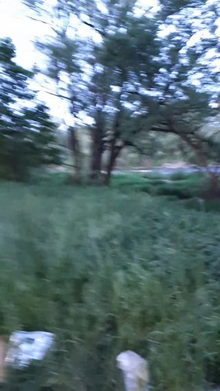 20220519_202429.mp4