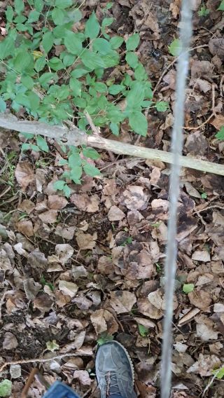20220524_190250.mp4