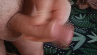 VID20220530153246.mp4