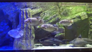 IMG_3825.MOV