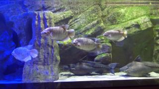 IMG_3825.MOV