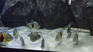 IMG_3826.MOV