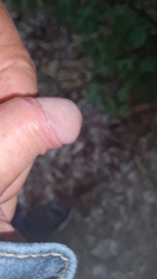 20220531_190156.mp4