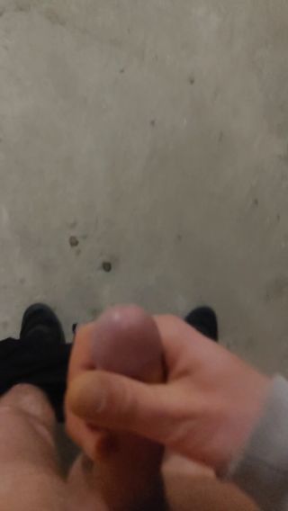 ZiomekPoz