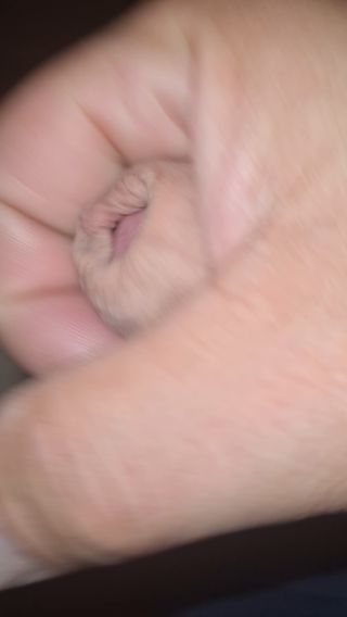 20220605_023444.mp4