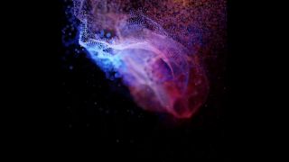0004_15s.mp4