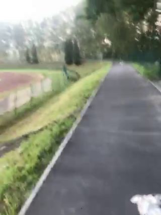 67661179194__919E131C-BC0B-4EA8-B9F7-79A4D5813BB3.MOV