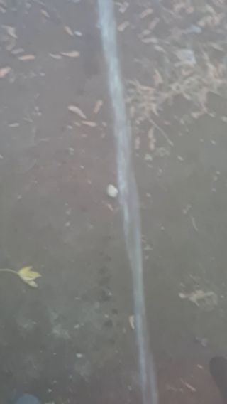 20220619_191920.mp4