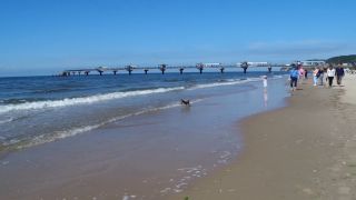 IMG_4210.MOV