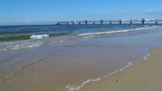 IMG_4212.MOV