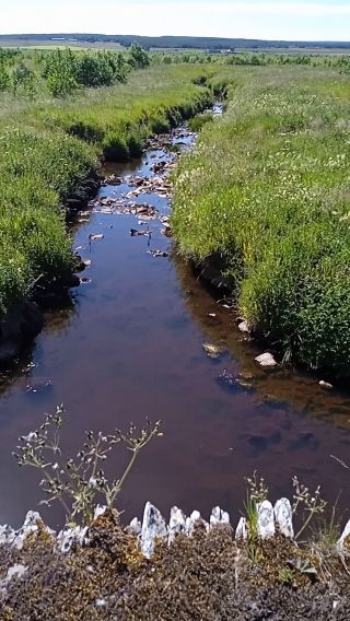 VID_20220710_153928.mp4