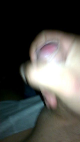 dybos4