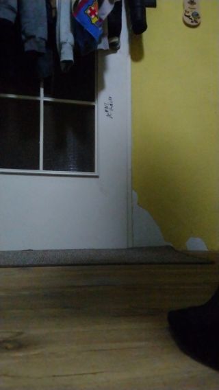 MOV_0761.mp4